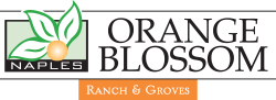 Logo of Orange Blossom Ranch: Executive Homes
