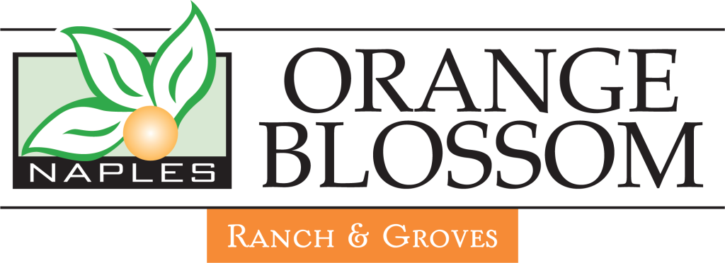 Logo of Orange Blossom Ranch: Townhomes
